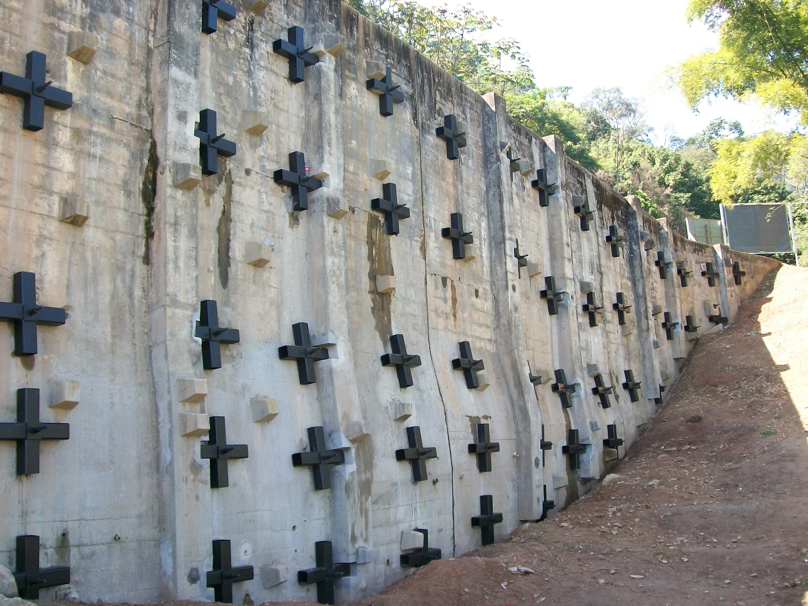 100_5063 - Cópia.JPG